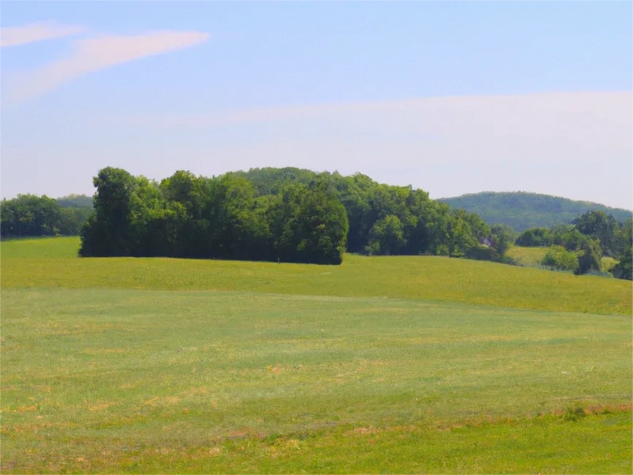 Vacant Lots in Logan County
